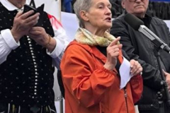 Vseslovenski-protest-v-Ljubljani